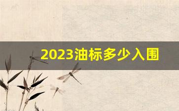 2023油标多少入围,2024年家庭摇号油车