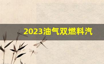 2023油气双燃料汽车全部车型,2023出租版双燃料