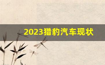 2023猎豹汽车现状,猎豹汽车现在是什么情况