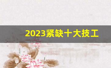 2023紧缺十大技工