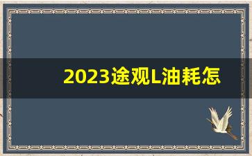 2023途观L油耗怎么看,我的途观L油耗是13个咋回事