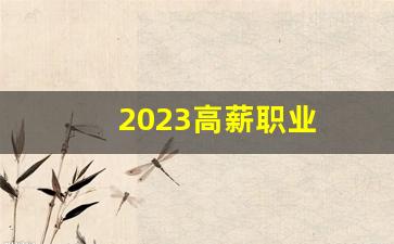 2023高薪职业