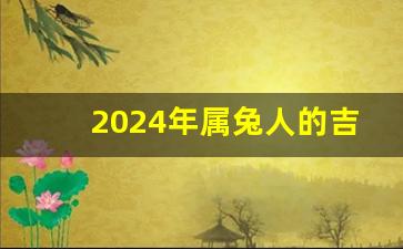 2024年属兔人的吉祥颜色,2024年属马的大灾之年