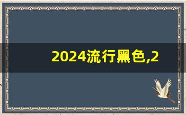 2024流行黑色,2024年秋冬流行元素