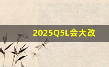 2025Q5L会大改款吗,q5l下一代大改款