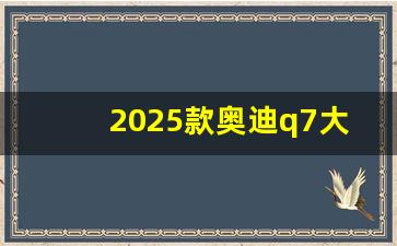 2025款奥迪q7大改款,2024年Q7大改款