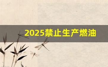 2025禁止生产燃油车吗,中国燃油车退出时间表