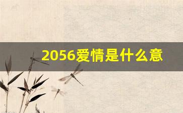 2056爱情是什么意思,2146爱情数字代表什么意思