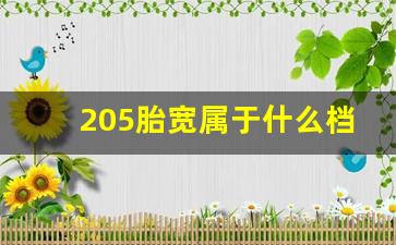 205胎宽属于什么档次,195轮胎与205哪个好