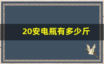 20安电瓶有多少斤