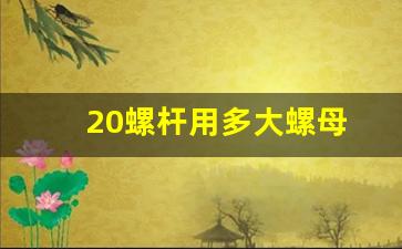 20螺杆用多大螺母