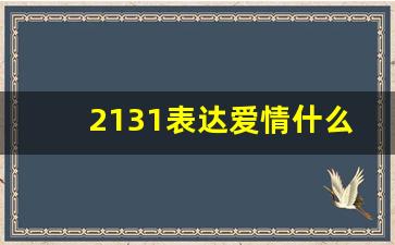 2131表达爱情什么意思,2222的爱情寓意与象征