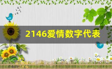 2146爱情数字代表什么意思