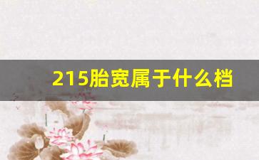 215胎宽属于什么档次,215胎换成225有啥影响