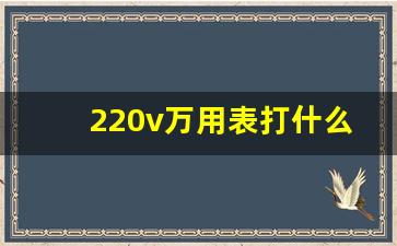 220v万用表打什么档