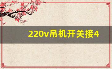 220v吊机开关接4线图,220v电葫芦手柄出四根线接线图