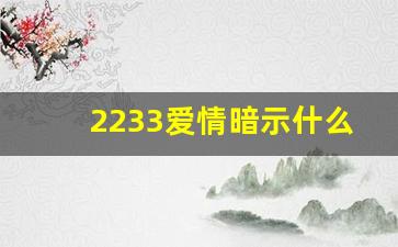 2233爱情暗示什么意思,2218在爱情上代表什么