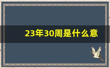 23年30周是什么意思轮胎