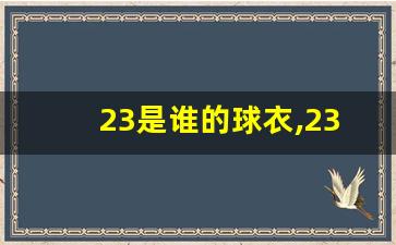 23是谁的球衣,23号球衣有什么意义