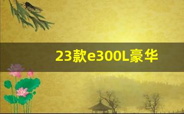 23款e300L豪华型配置,23款e300l图片