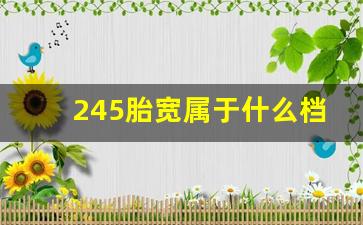 245胎宽属于什么档次