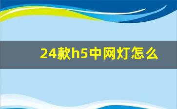 24款h5中网灯怎么开启