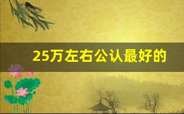 25万左右公认最好的车,25万左右的雷克萨斯