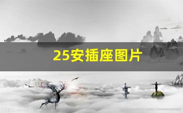 25安插座图片