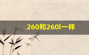 260和260l一样吗,奔驰c260和宝马325哪个省油