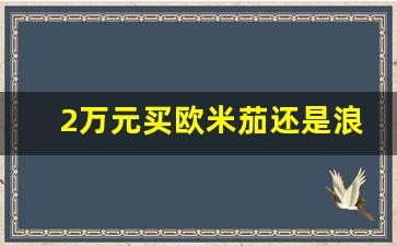 2万元买欧米茄还是浪琴,正品欧米茄价目表