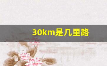 30km是几里路