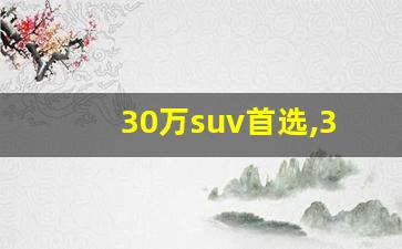 30万suv首选,30万内最好越野车