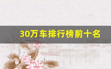 30万车排行榜前十名,中国十大名牌车