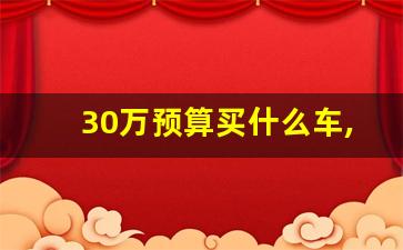 30万预算买什么车,30万购车预算的汽车品牌