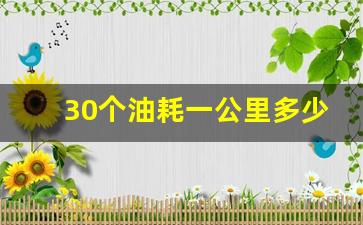 30个油耗一公里多少钱