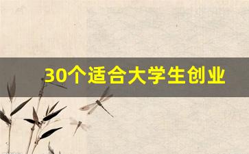 30个适合大学生创业的项目,未来三年最火的创业项目