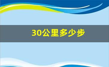 30公里多少步