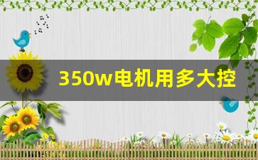 350w电机用多大控制器最佳,48V350W电机换500W控制器