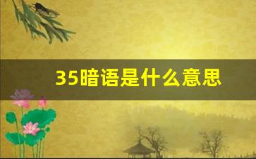 35暗语是什么意思