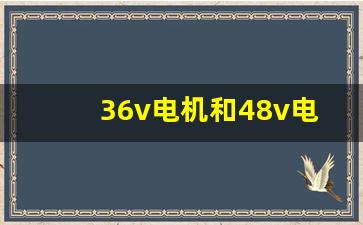 36v电机和48v电机有什么区别,36v电动车电机功率