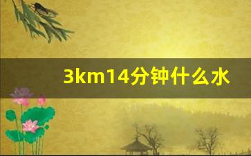 3km14分钟什么水平,3公里多少分钟算正常