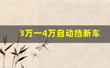 3万一4万自动挡新车油车,五菱库存新车2万左右