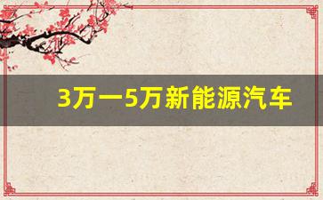 3万一5万新能源汽车,丰田2.8万小可爱