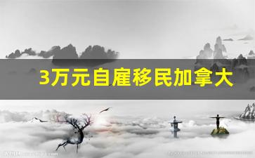 3万元自雇移民加拿大,年龄超过45岁如何移民加拿大