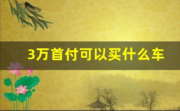 3万首付可以买什么车,10万的车首付2万可以吗