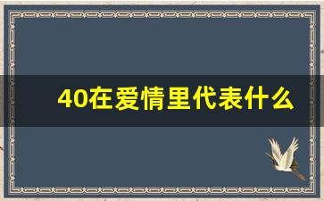 40在爱情里代表什么,40代表的爱情恋爱含义