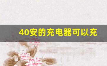 40安的充电器可以充32安的吗