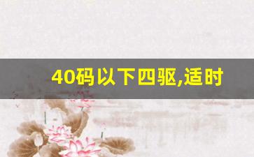 40码以下四驱,适时四驱速度40一下是四驱吗