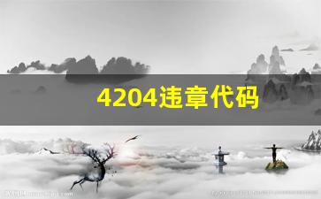 4204违章代码