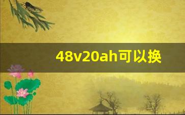 48v20ah可以换48v30ah,48v12可以换48v20